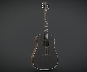 Acoustic Guitar Owens