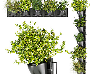 Collection plant vol 238 - leaf - ble - 3ds - c4d