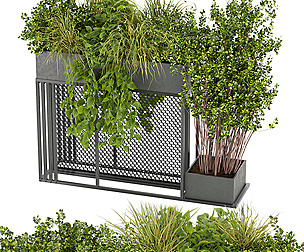 Collection plant vol 239 - leaf - ble - 3ds - c4d