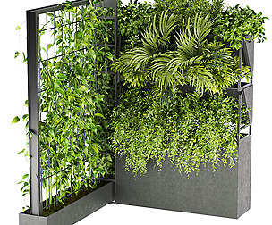 Collection plant vol 246 - leaf - ble - 3ds - c4d