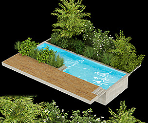 Collection plant vol 249 - ble - 3ds - c4d