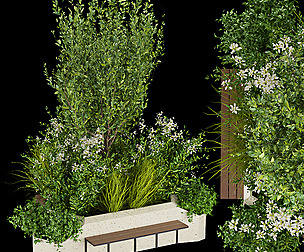 Collection plant vol 251 - ble - 3ds - c4d
