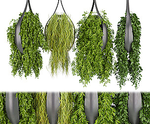 Collection plant vol 253 - ble - 3ds - c4d