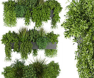 Collection plant vol 255 - ble - 3ds - c4d