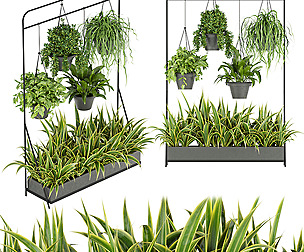Collection plant vol 257 - ble - 3ds - c4d