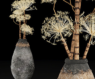 Collection plant vol 260 - ble - 3ds - c4d