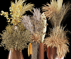 Collection plant vol 261 - ble - 3ds - c4d