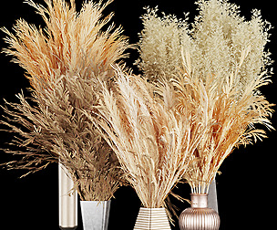 Collection plant vol 265 - ble - 3ds - c4d