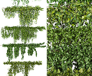 Collection plant vol 266 - ble - 3ds - c4d