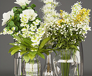 Collection plant vol 267 - ble - 3ds - c4d