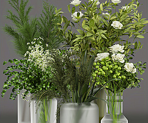 Collection plant vol 268 - ble - 3ds - c4d