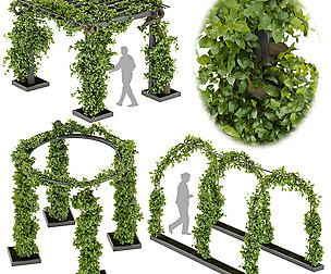 Collection plant vol 269 - ble - 3ds - c4d