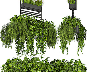 Collection plant vol 277 - ble - 3ds - c4d