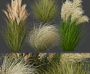 Collection plant vol 278 - grass - ble - 3ds - c4d