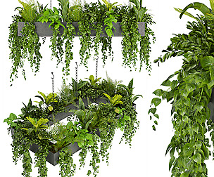 Collection plant vol 279 - ble - 3ds - c4d