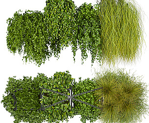 Collection plant vol 282 - ble - 3ds - c4d