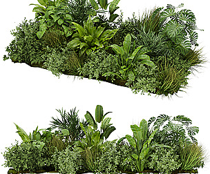 Collection plant vol 283 - ble - 3ds - c4d