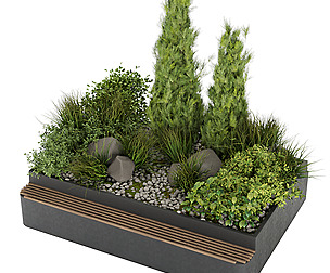 Collection plant vol 284 - ble - 3ds - c4d