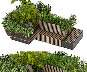 Collection plant vol 285 - ble - 3ds - c4d