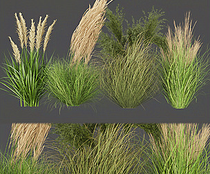 Collection plant vol 287 - ble - 3ds - c4d