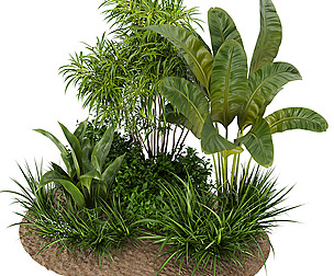 Collection plant vol 288 - ble - 3ds - c4d