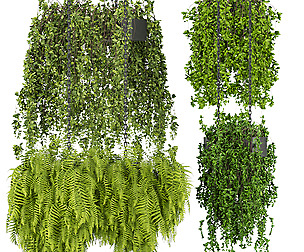 Collection plant vol 291 - ble - 3ds - c4d