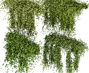 Collection Plant Vol 293 - ble - 3ds - c4d