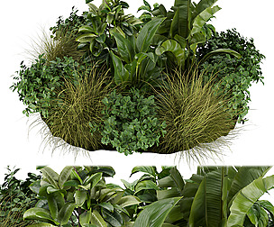 Collection plant vol 294 - ble - 3ds - c4d