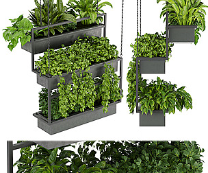 Collection plant vol 295 - ble - 3ds - c4d