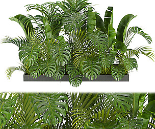 Collection plant vol 300 - ble - 3ds - c4d