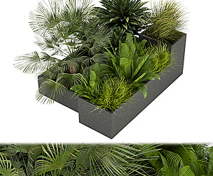 Collection plant vol 302 - leaf  - ble - 3ds - c4d