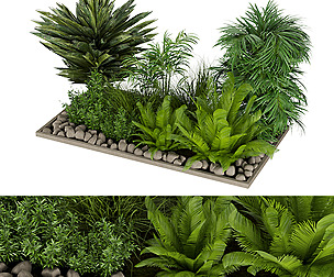 Collection plant vol 303 - ble - 3ds - c4d