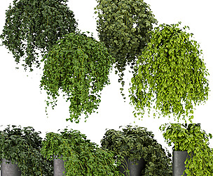 Collection plant vol 304 - ble - 3ds - c4d
