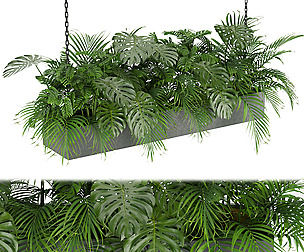 Collection plant vol 306 - ble - 3ds - c4d