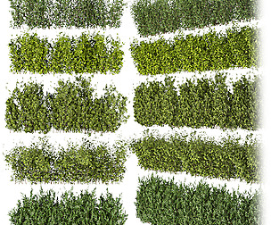 Collection plant vol 309 - ble - 3ds - c4d