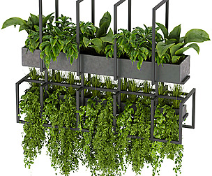 Collection plant vol 311 - ble - 3ds - c4d