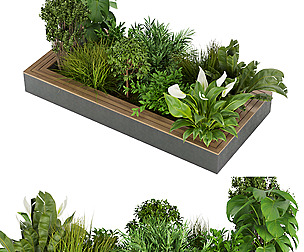 Collection plant vol 313 - ble - 3ds - c4d