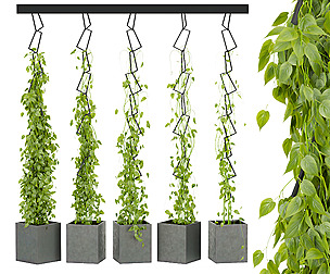Collection plant vol 314 - ble - 3ds - c4d
