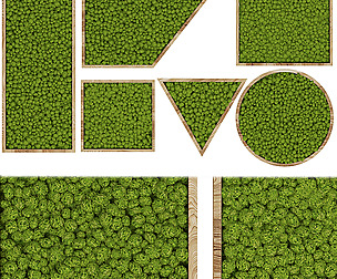 Collection plant vol 315 - ble - 3ds - c4d