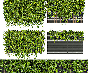 Collection plant vol 316 - ble - 3ds - c4d