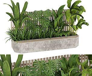 Collection plant vol 317 - ble - 3ds - c4d