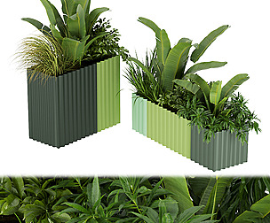 Collection plant vol 318 - ble - 3ds - c4d