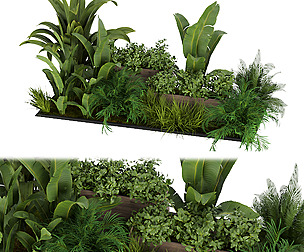 Collection plant vol 319 - ble - 3ds - c4d