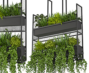 Collection plant vol 320 - ble - 3ds - c4d