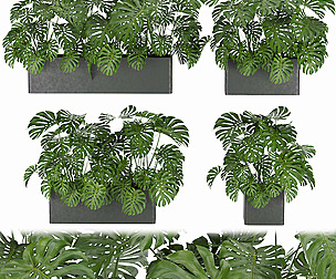 Collection plant vol 323 - ble - 3ds - c4d