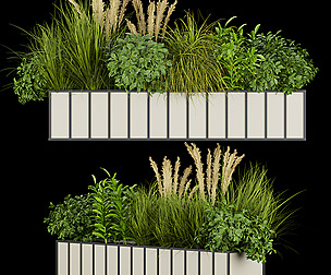 Collection plant vol 324 - ble - 3ds - c4d