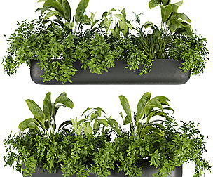 Collection plant vol 325 - ble - 3ds - c4d