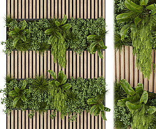 Collection plant vol 326- ble - 3ds - c4d
