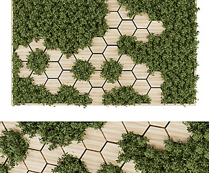 Collection plant vol 327 - ble - 3ds - c4d