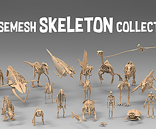 25 Basemesh skeleton collection 2